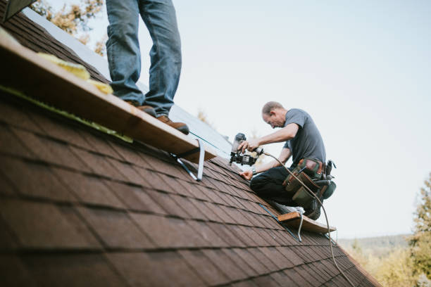Quick and Trustworthy Emergency Roof Repair Services in Alliance, NC